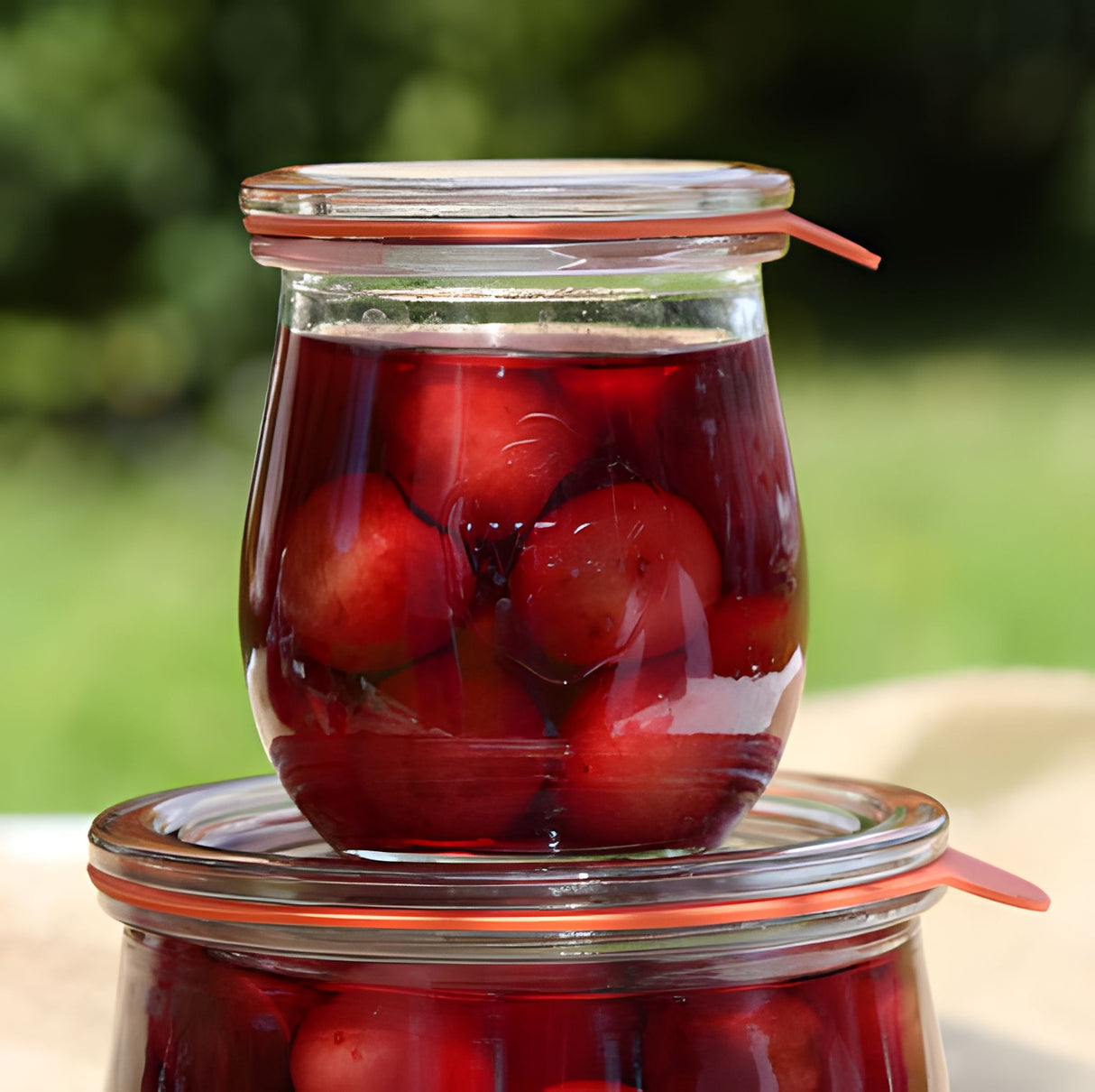 Weck Rubber Seals 10 Pack – Canning Rings for RR60, RR80, RR100, RR120 Jars