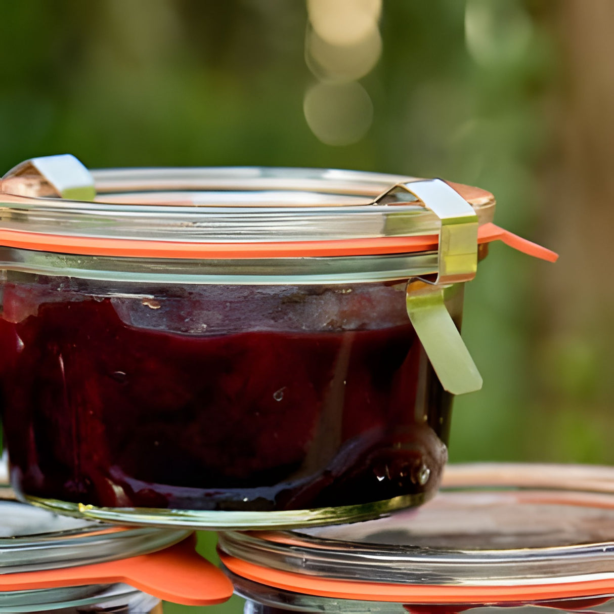 WECK Canning Jar Clips – 12 Stainless Steel Clamps for Round Rim Jars